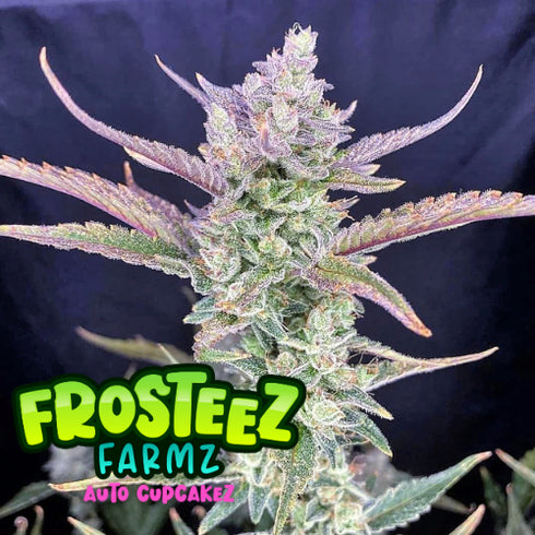Frosteez Farmz - Auto Cup Cakez