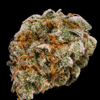 Terp Farmz - Mint Trufflez