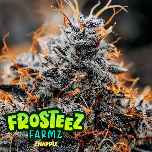 Frosteez Farmz - Znapple