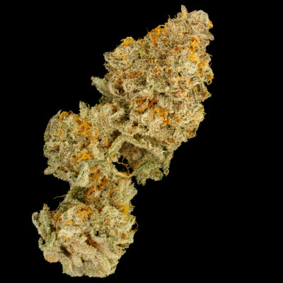 Terp Farmz - Zinger Cake