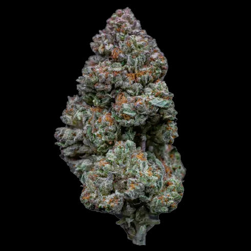 Growers Choice - RS11