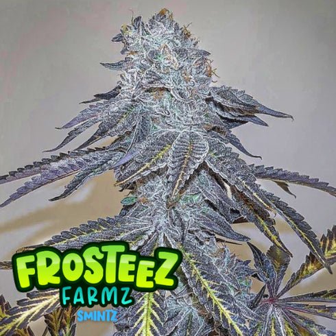 Frosteez Farmz - Smintz