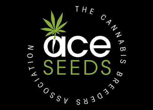 Ace Seeds - New Caledonia