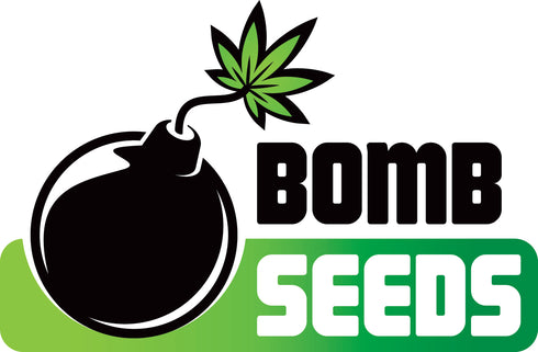Bomb Seeds - Banana Bomb
