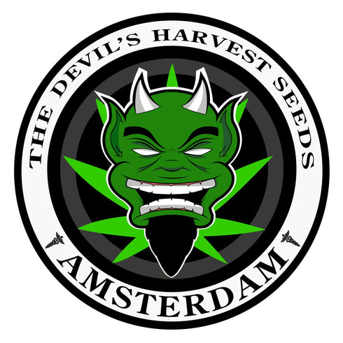 Devil's Harvest Seeds - Raspberry Waffles