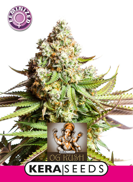 Kera Seeds - OG Kush