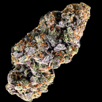 Terp Farmz - Choc Truffle Auto