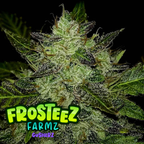 Frosteez Farmz - Gusherz