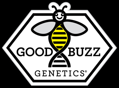 Good Buzz Genetics - Guava