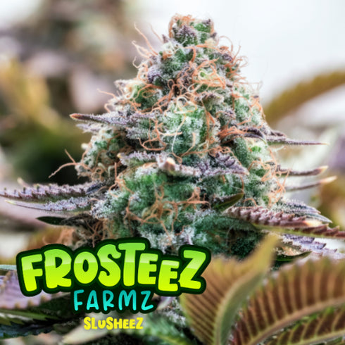 Frosteez Farmz - Slusheez