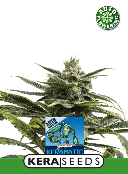 Kera Seeds - Keramatic Auto