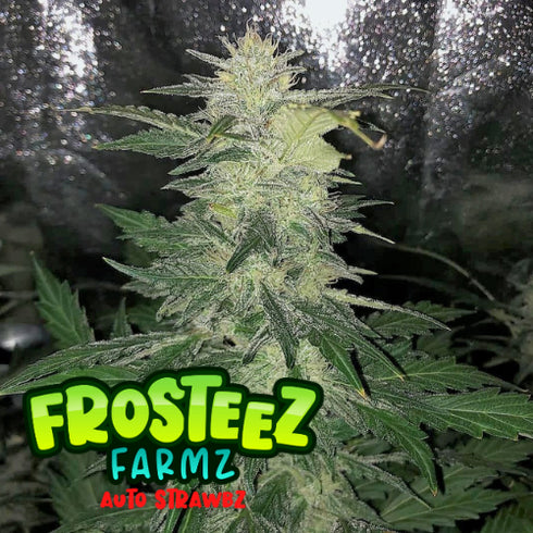 Frosteez Farmz - Auto Strawbz