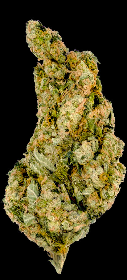 Mega Buds Seeds - Giant Skittlez