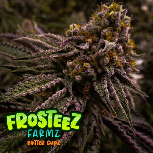 Frosteez Farmz - Butter Cupz