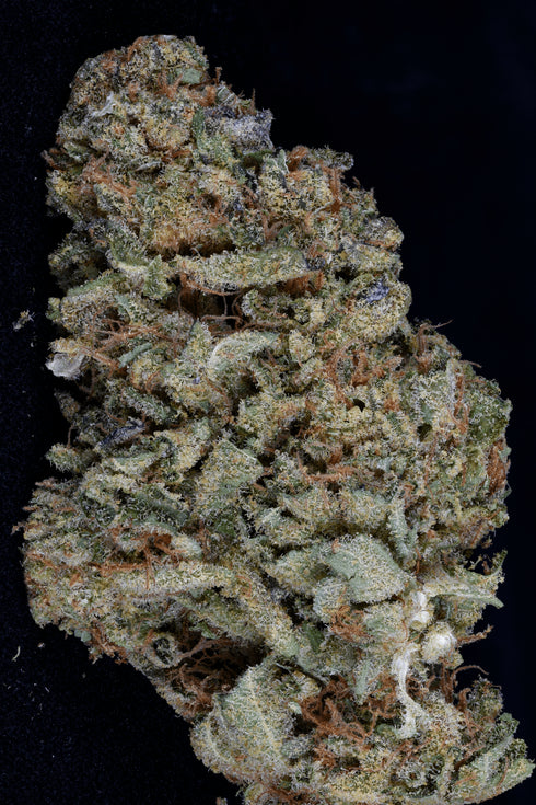 Bighead Seeds - Gorilla Zkittelz