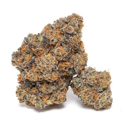 Growers Choice - King Louis Garcia
