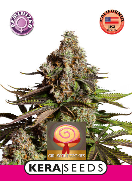 Kera Seeds - Girl Scout Cookies