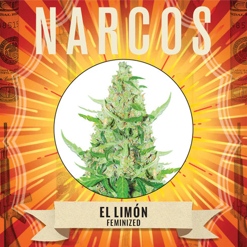 Narcos Seedbank - El Limon