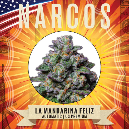 Narcos Seedbank - La Mandarina Feliz Auto
