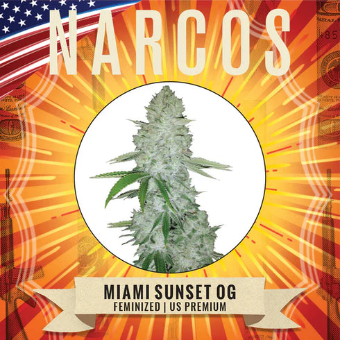 Narcos Seedbank - Miami Sunset OG