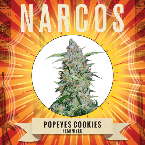 Narcos Seedbank - Popeye's Cookies