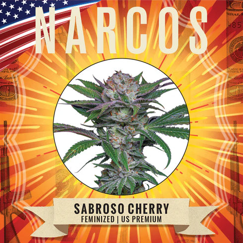 Narcos Seedbank - Sabraso Cherry