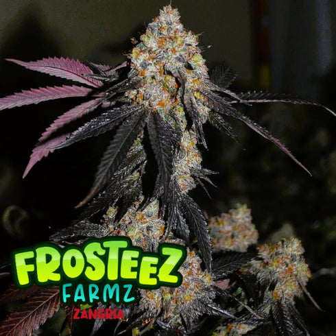 Frosteez Farmz - Zangria