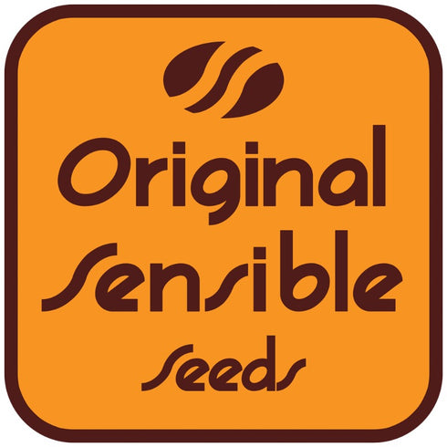 Original Sensible Seeds - Banana Fumes