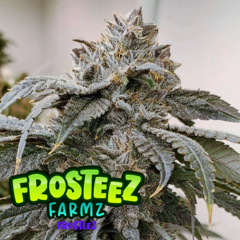 Frosteez Farmz - Frosteez