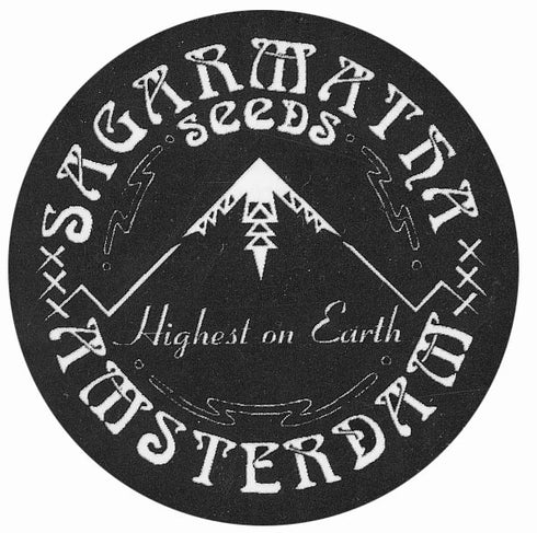 Sagarmatha Seeds - NY Diesel