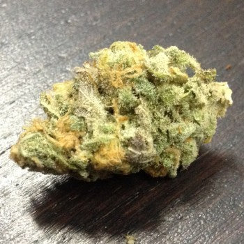 710 Genetics - Super Shark