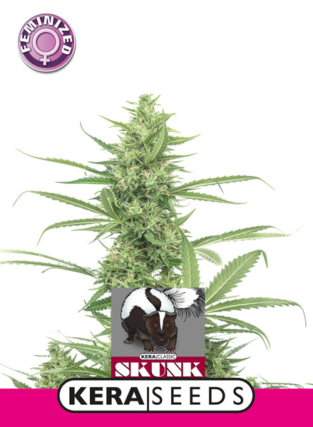 Kera Seeds - Skunk