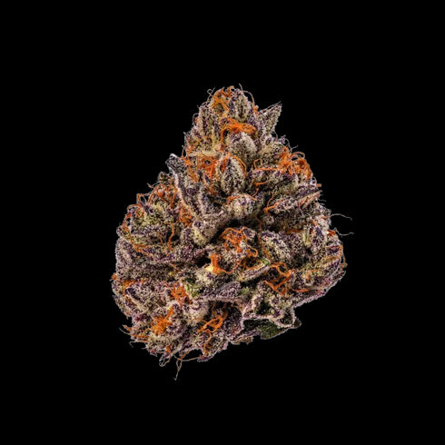 Growers Choice - Tropicana Cherry Triploid