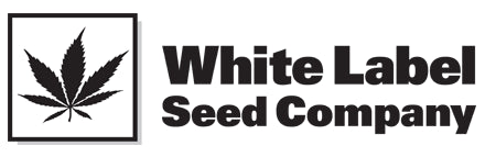 Sensi White Label - Afghan Kush