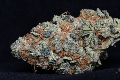 Bighead Seeds - Cookie Dawg