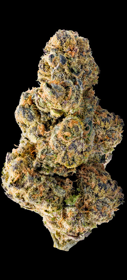 Mega Buds Seeds - Colossal Purps