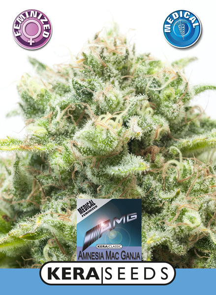 Kera Seeds - Medical Amnesia Mac Ganja