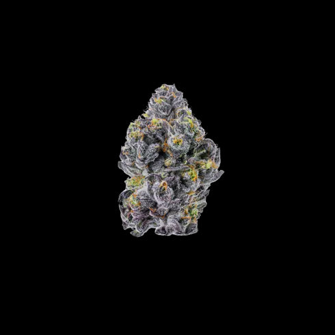 Growers Choice - Sticky Wasabi Triploid