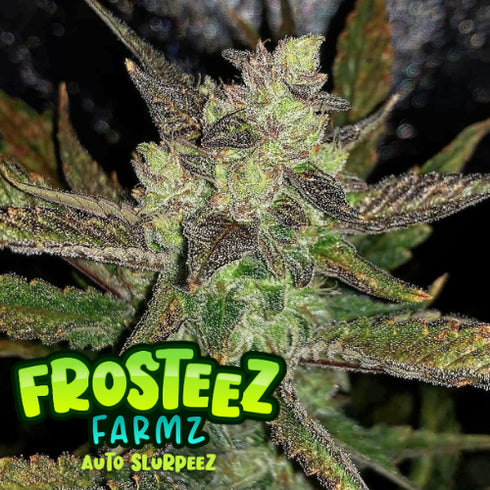 Frosteez Farmz - Auto Slurpeez
