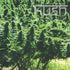 Kush Seeds - Sweet Kush