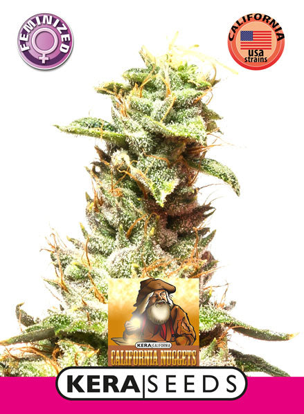 Kera Seeds - California Nugget