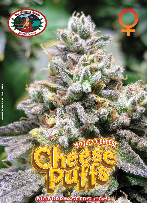 Big Buddha Seeds - Cheese Puffs