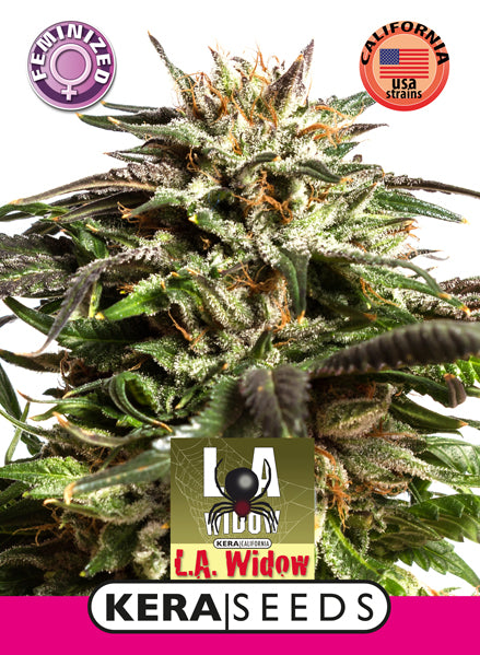 Kera Seeds - LA Widow