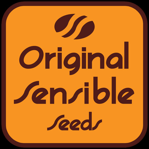 Original Sensible Seeds - Auto Black JH
