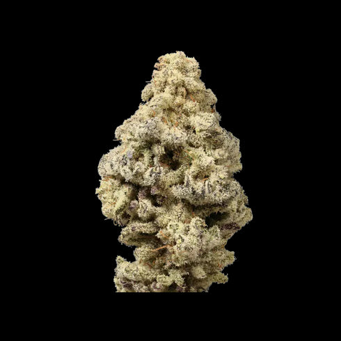 Growers Choice - Limited Edition Mac 'N Cheese