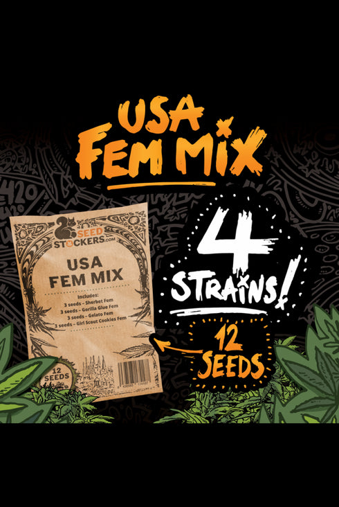Seed Stockers Seeds - USA Fem Mix