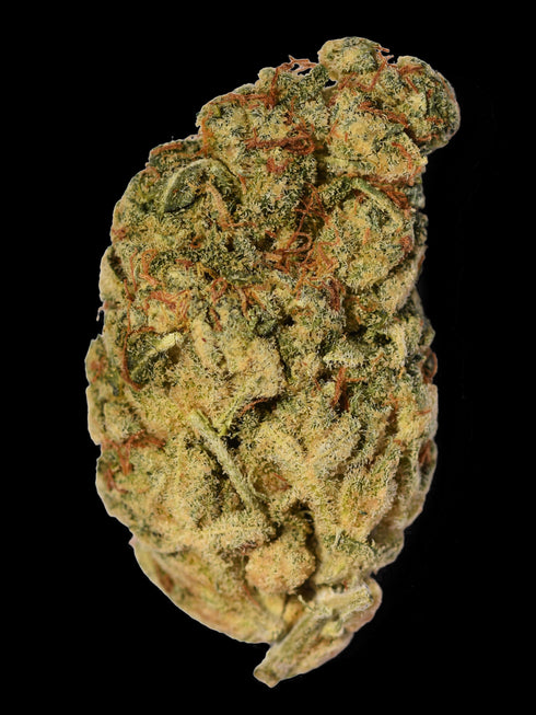 Bighead Seeds - Wedding Cake