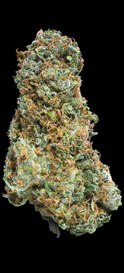 Mega Buds Seeds - Big Bruce