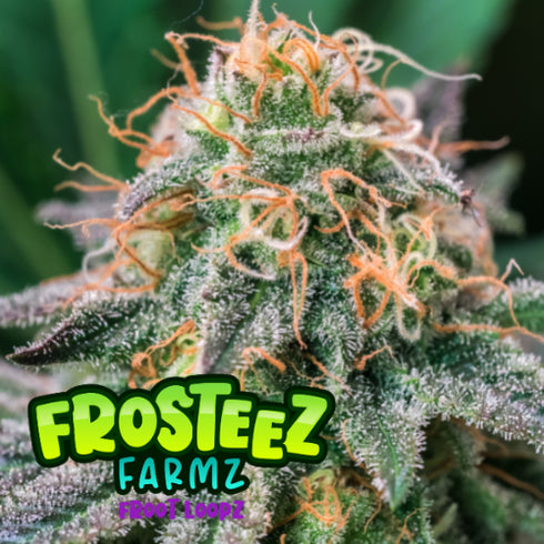 Frosteez Farmz - Froot Loopz