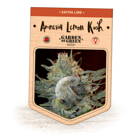 Garden Of Green - Amnesia Lemon Kush